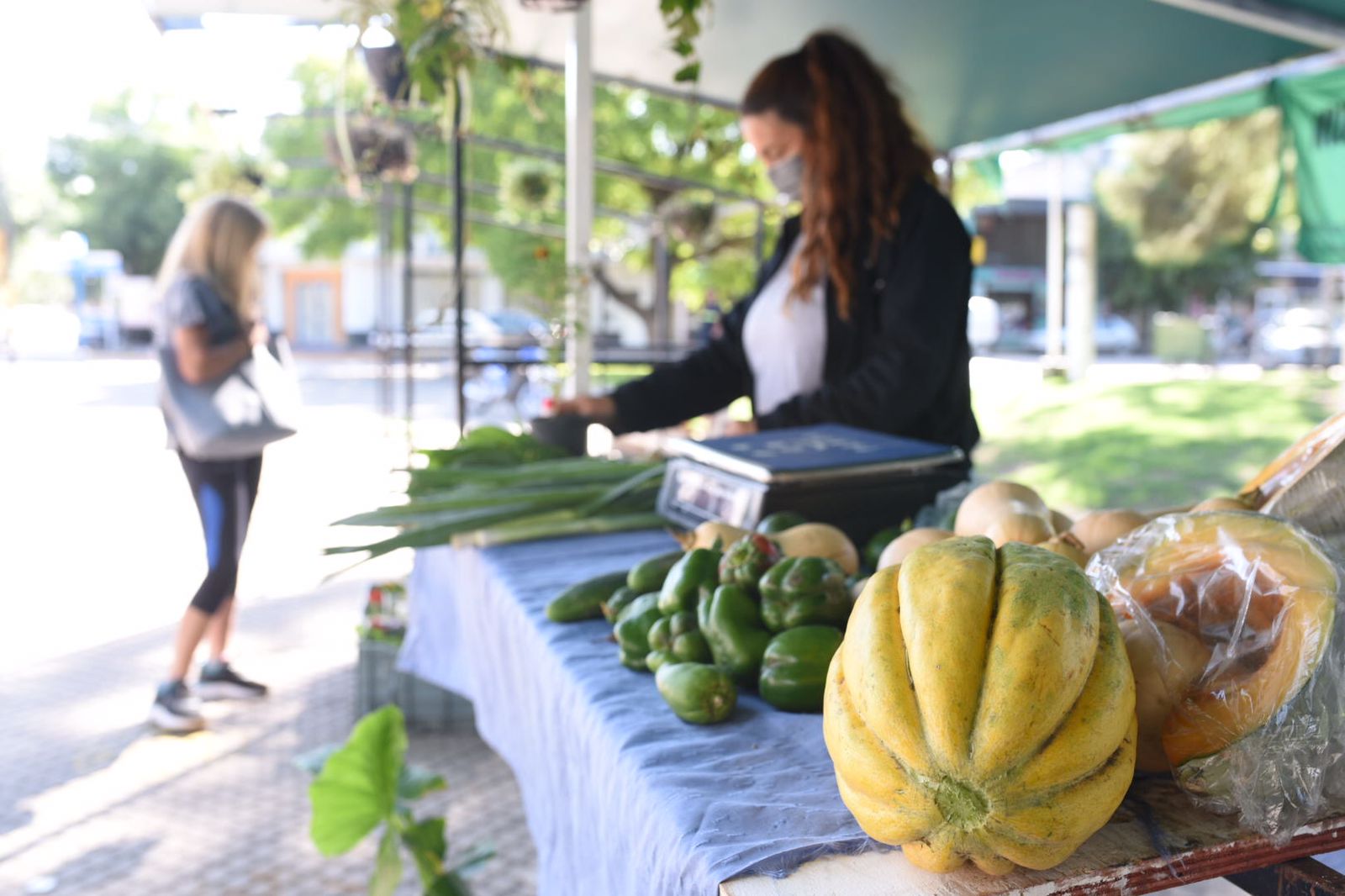 Gran Feria “Encuentro Verde” en Plaza Rivadavia