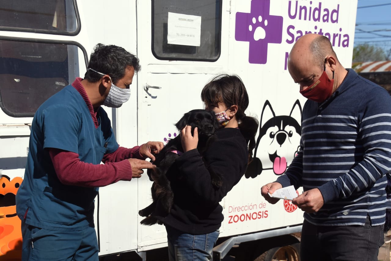 La campaña de vacunación antirrábica sigue en el barrio San José