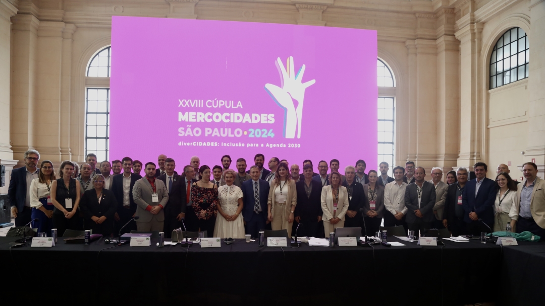 Lincoln seguirá coordinando el Grupo de Discapacidad e Inclusión de Mercociudades