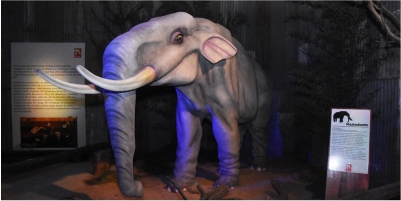 Abrió sus puertas el Museo de Megafauna