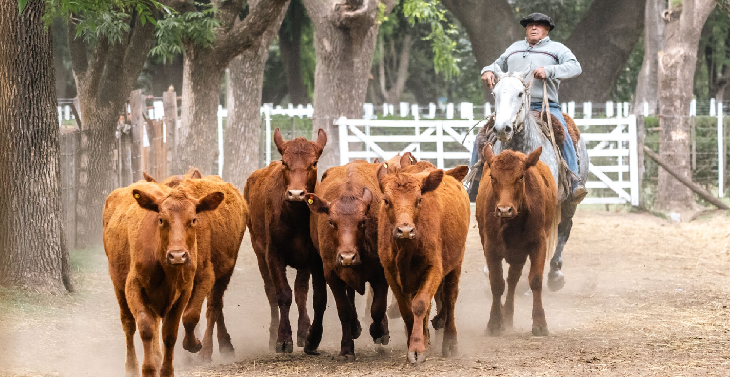 En octubre la fiesta del campo, la industria y el comercio vuelve a Lincoln
