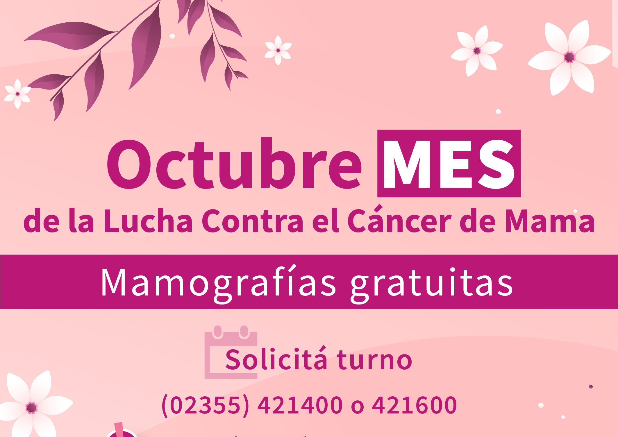Durante octubre, realizarán mamografías sin orden médica
