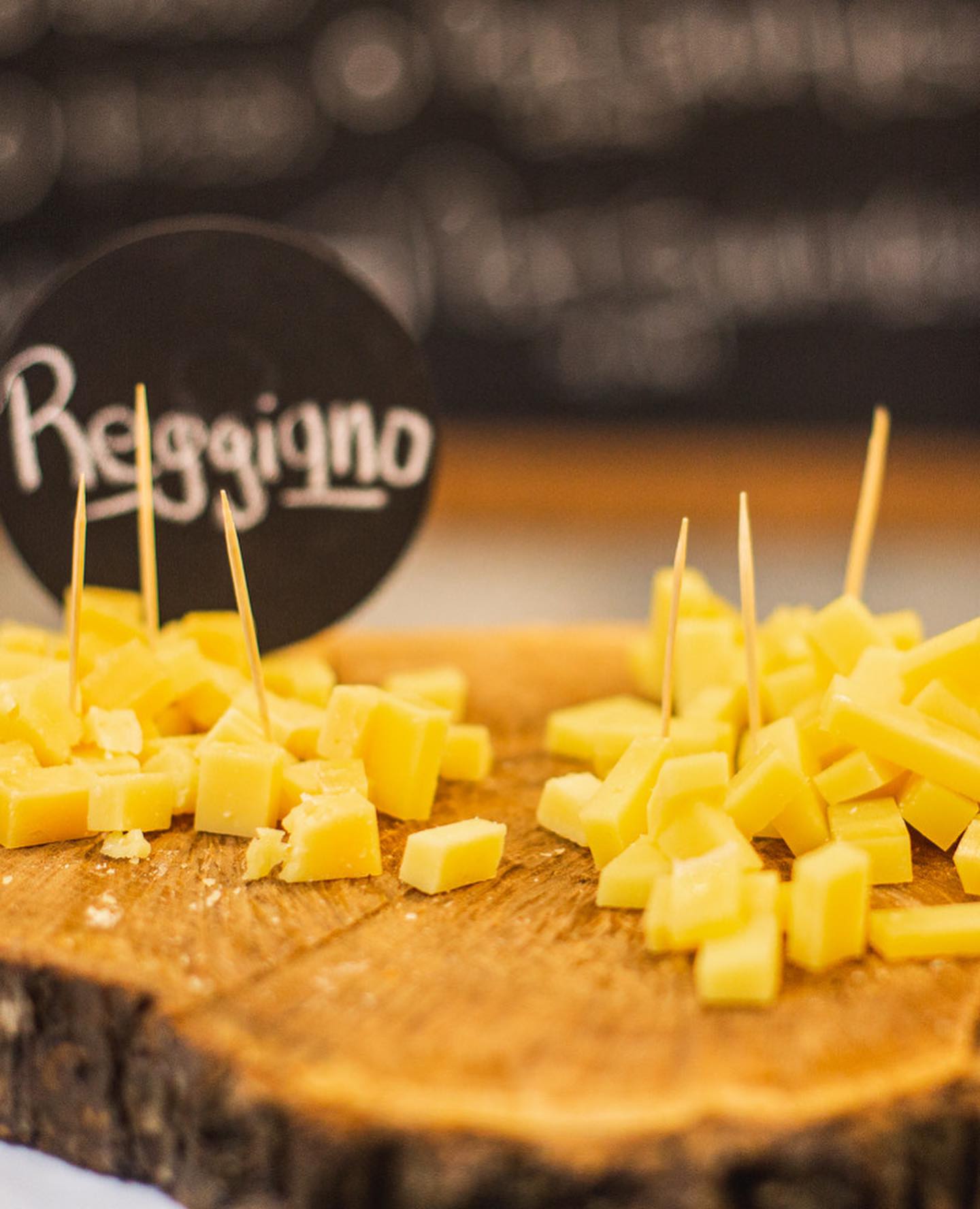 Todo listo para vivir “Expo Queso 2023”