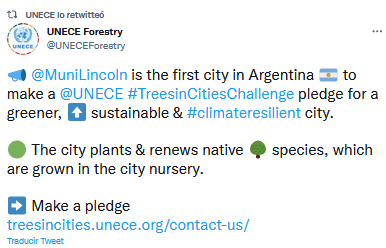 Lincoln fue reconocido por la UNECE por su compromiso con la forestación en espacios urbanos