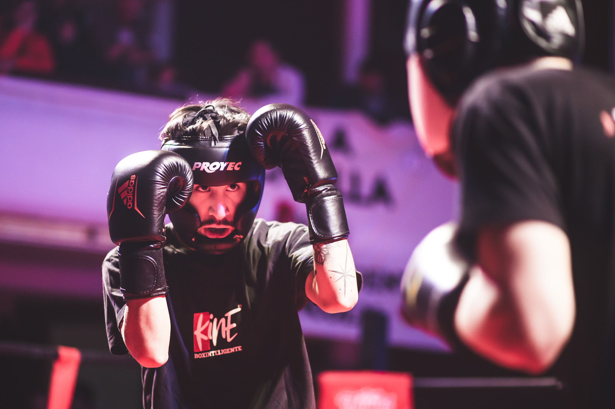 Se viene el Festival de Boxeo Vol IV