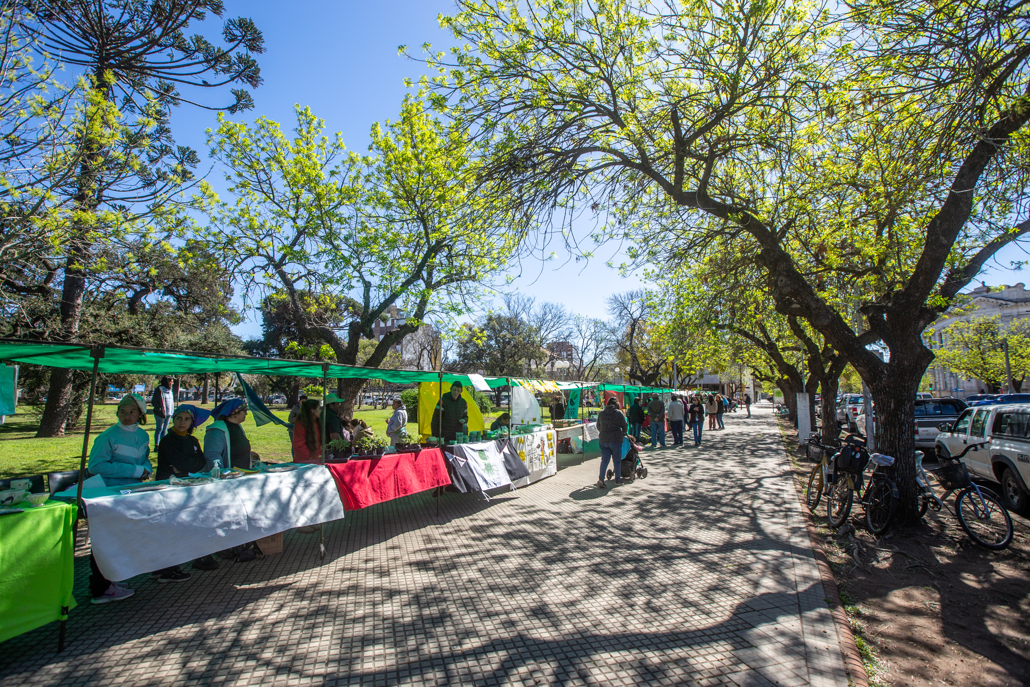 La feria "Encuentro Verde" celebra su octavo aniversario
