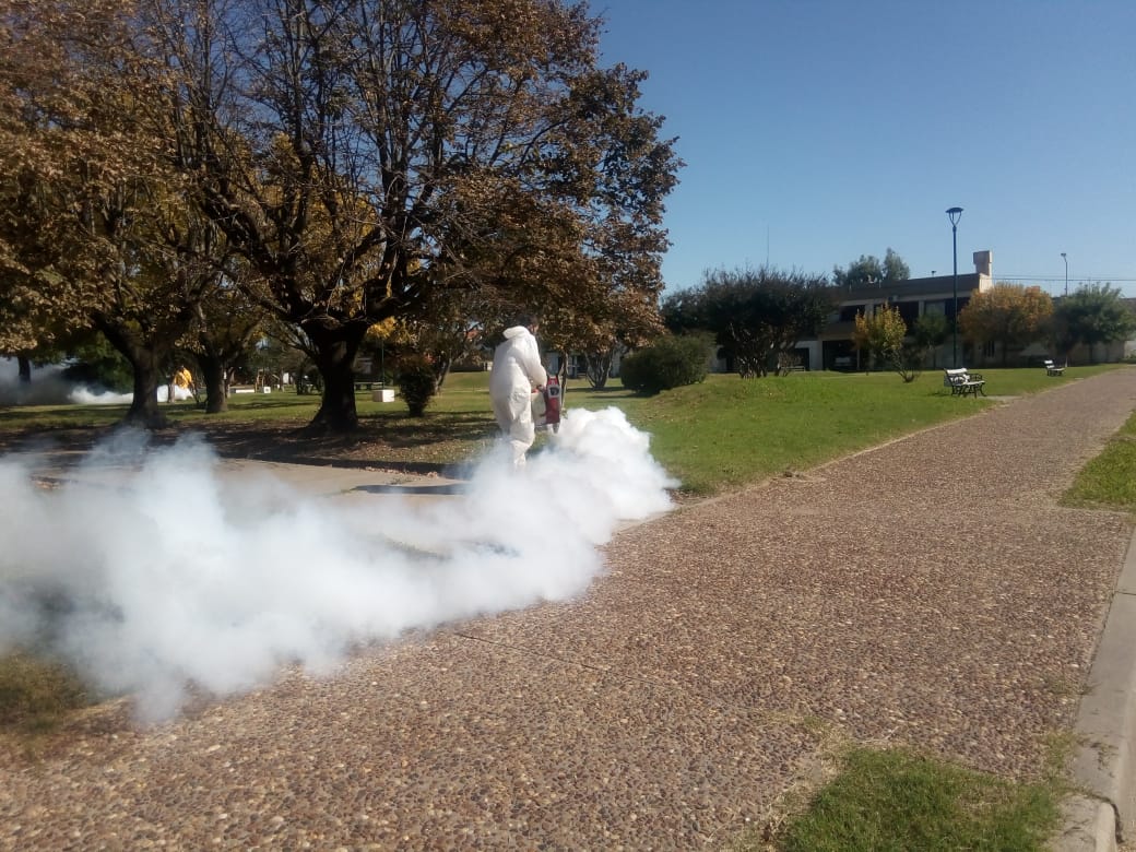 Continúa el operativo de fumigación contra el dengue