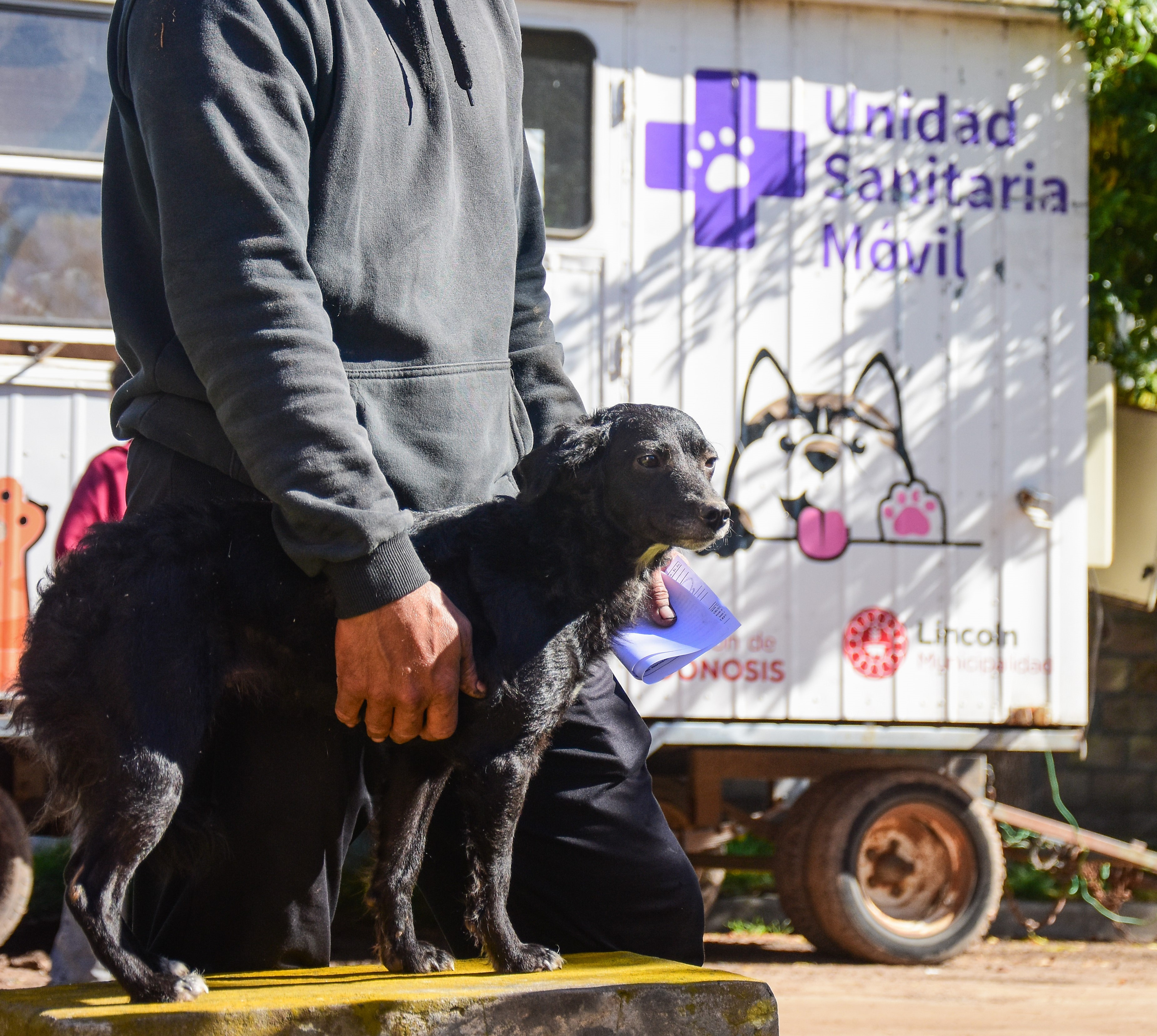 Continúan las jornadas de castración y vacunación de mascotas