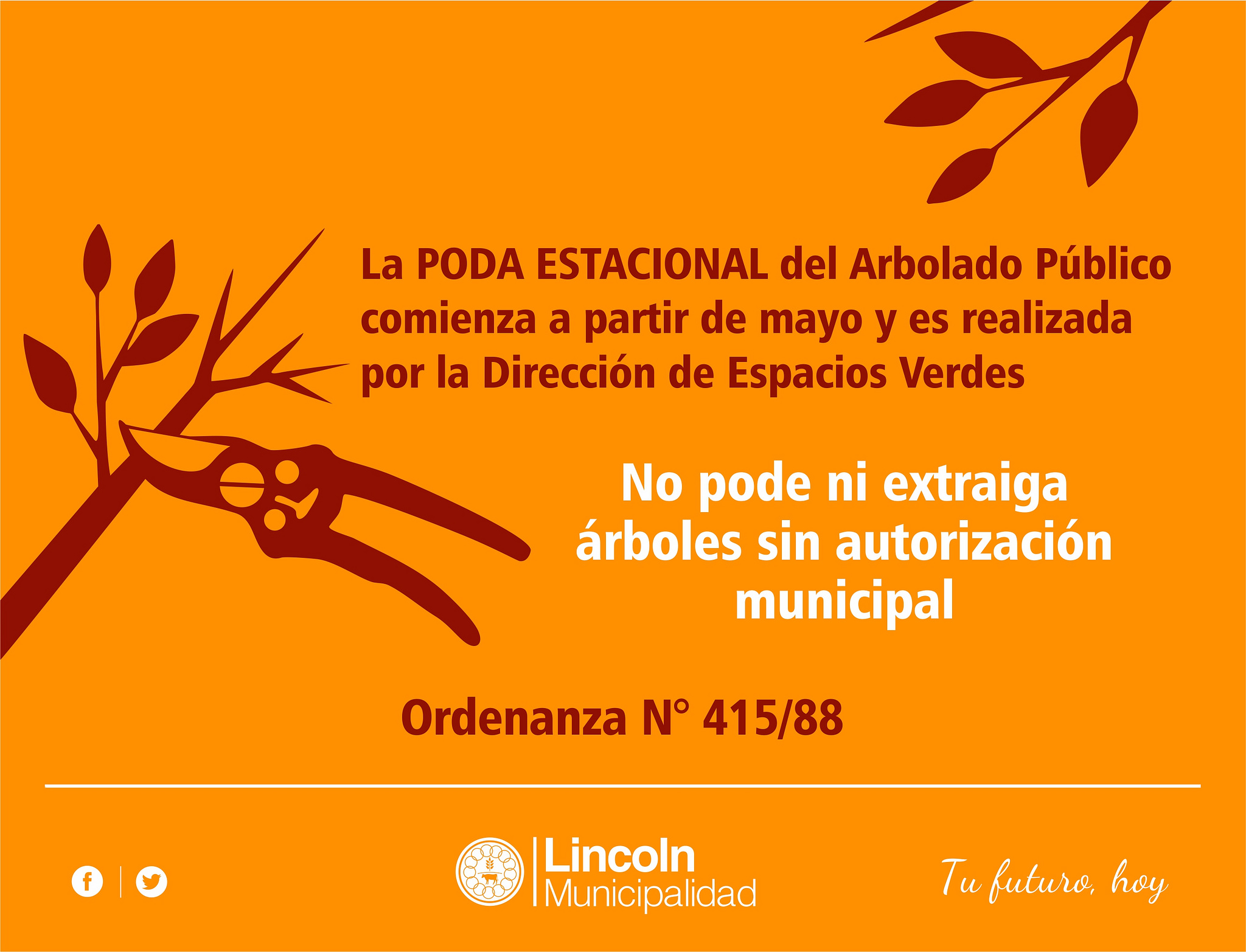 Poda de arbolado público
