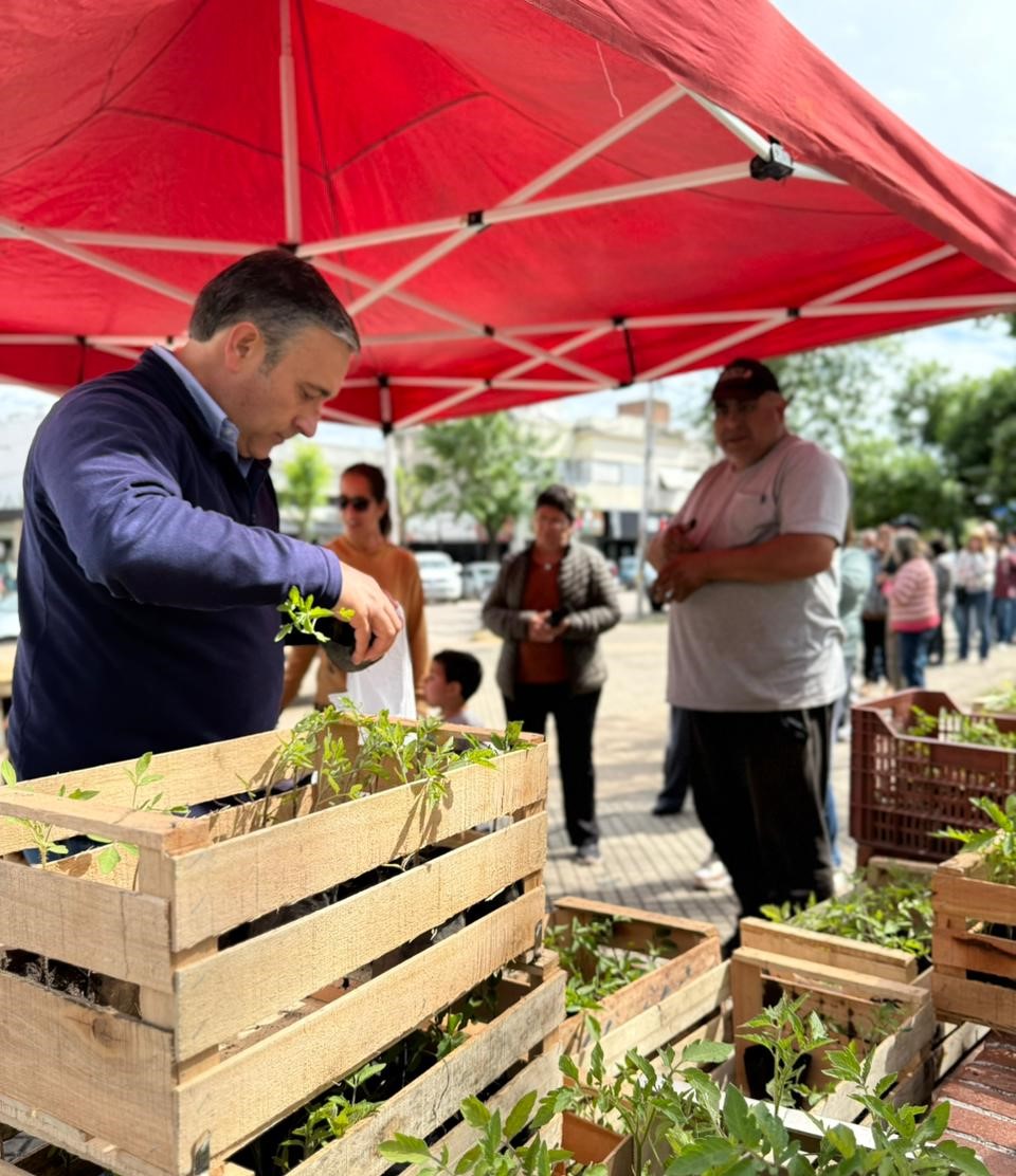 Se entregaron más de mil plantines de especies hortícolas en plaza Rivadavia