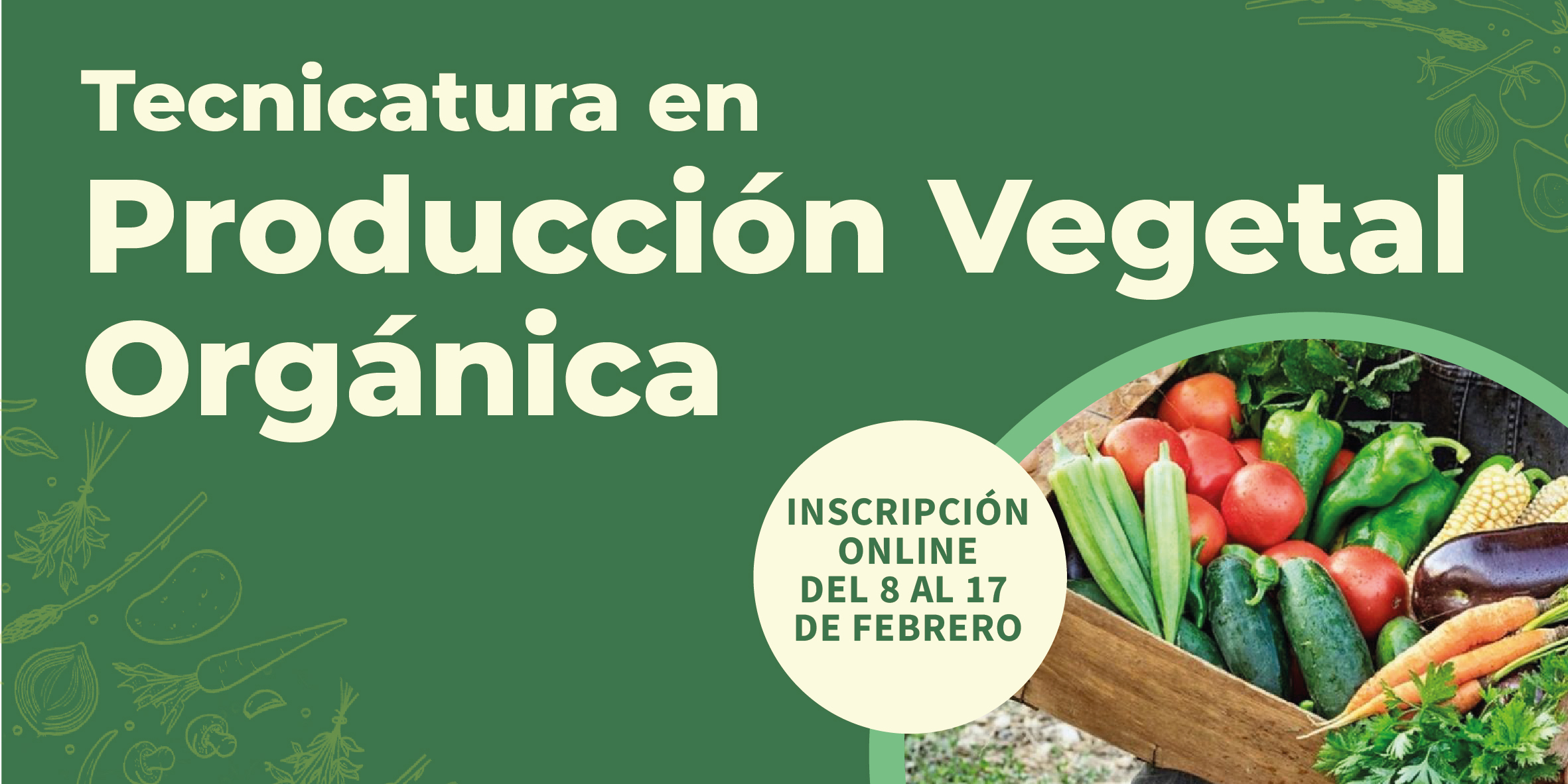 Abre la inscripción a la Tecnicatura en Producción Vegetal Orgánica