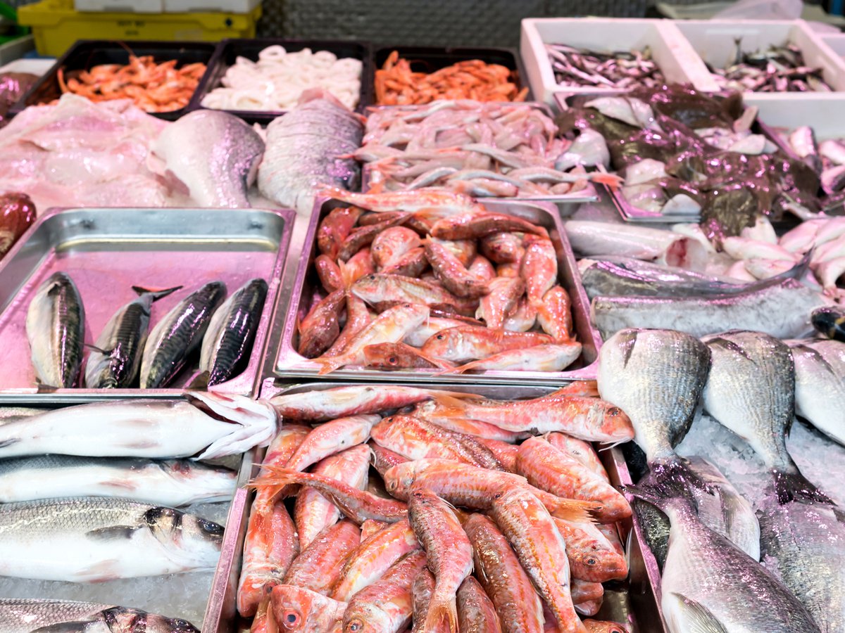 “Pescados para todos” llega Lincoln y localidades