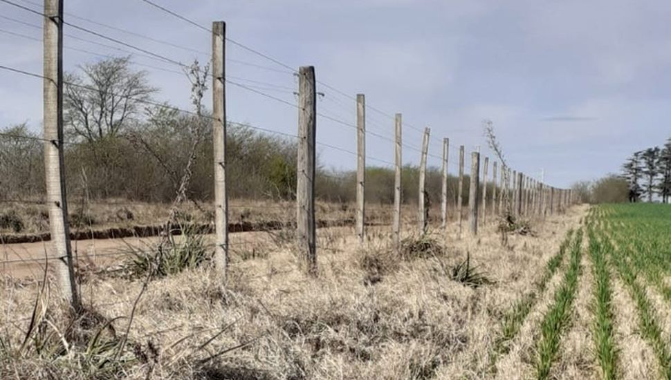 Lincoln solicitó la prórroga de la emergencia agropecuaria por sequía