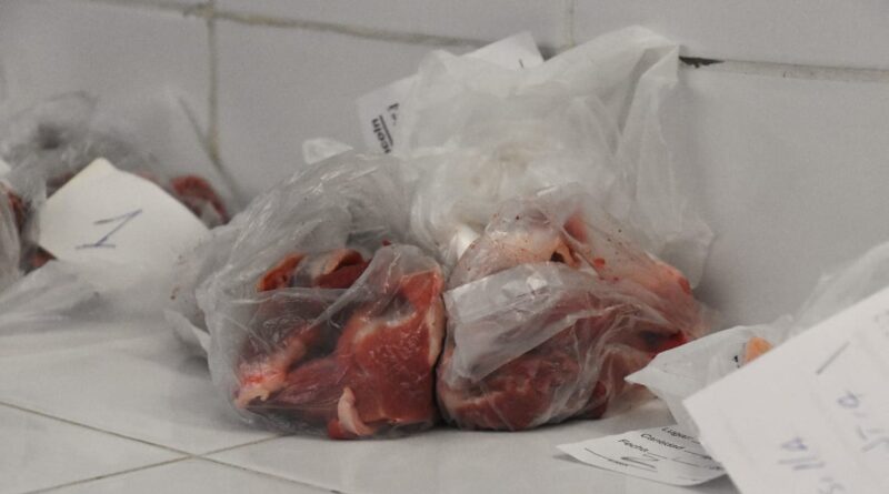 Antes de elaborar chacinados, recomiendan hacer la prueba de triquinosis