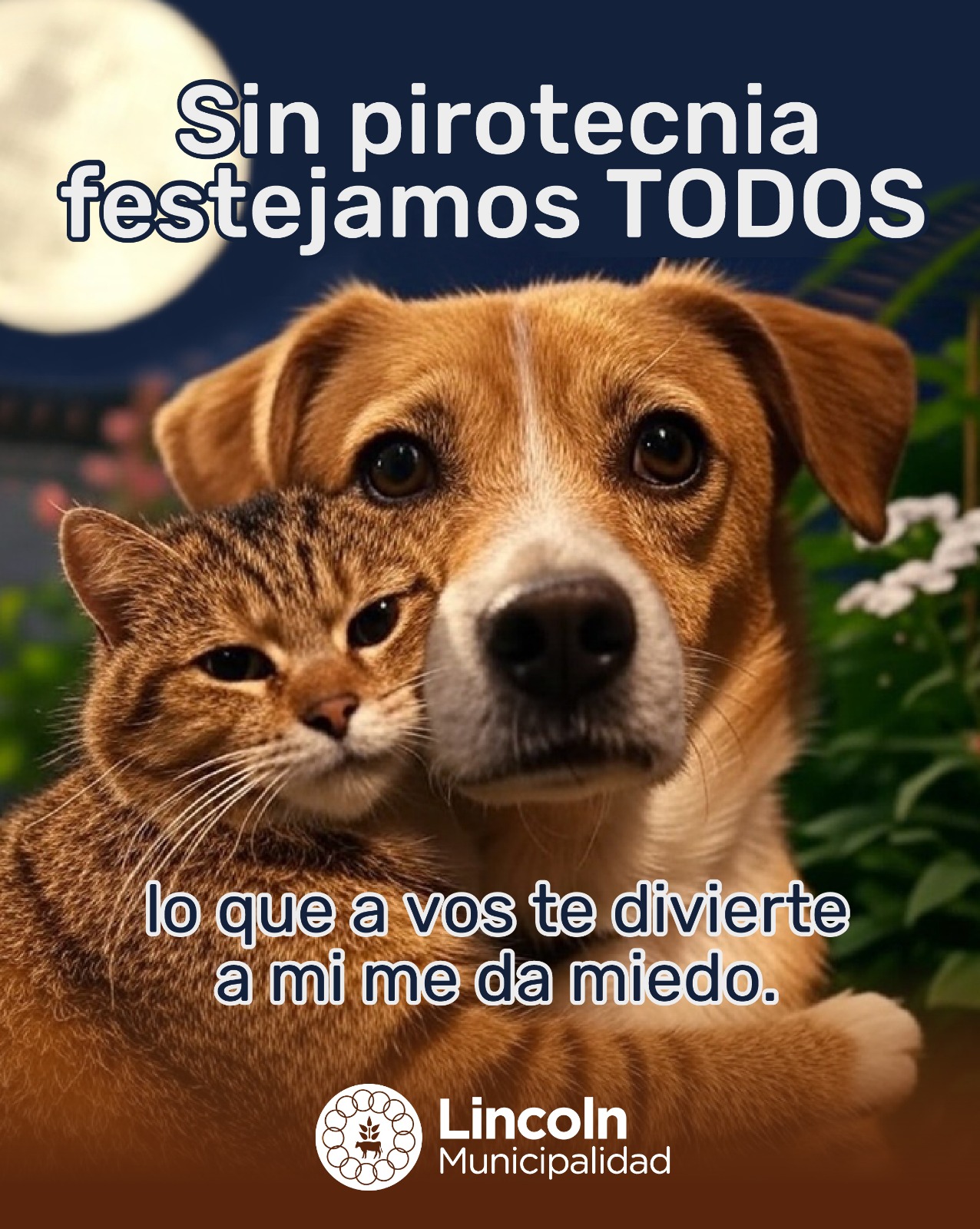 “Sin pirotecnia festejamos todos”: fiestas pensando en el otro