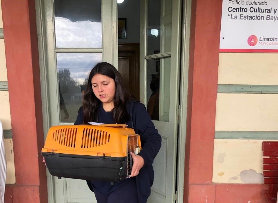 Calendario de castraciones masivas y vacunación antirrábica para mascotas