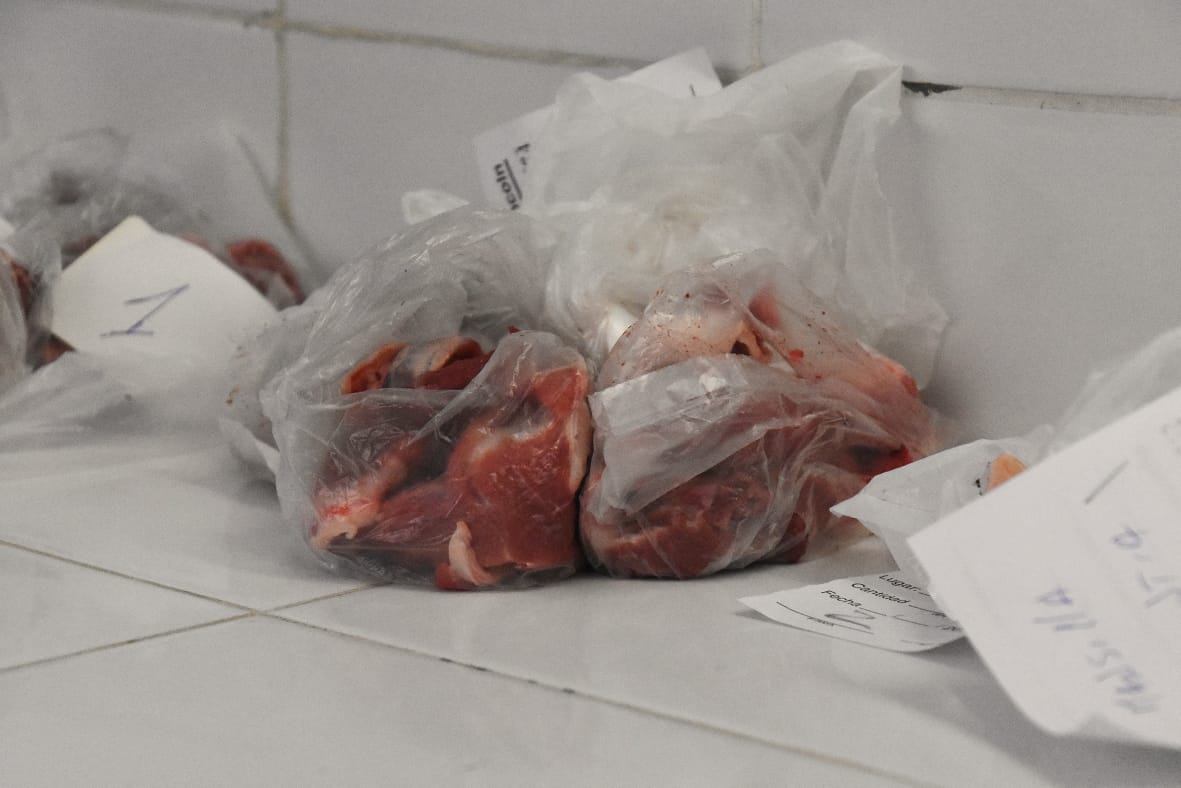 Se detectó un caso de triquinosis en el laboratorio de bromatología