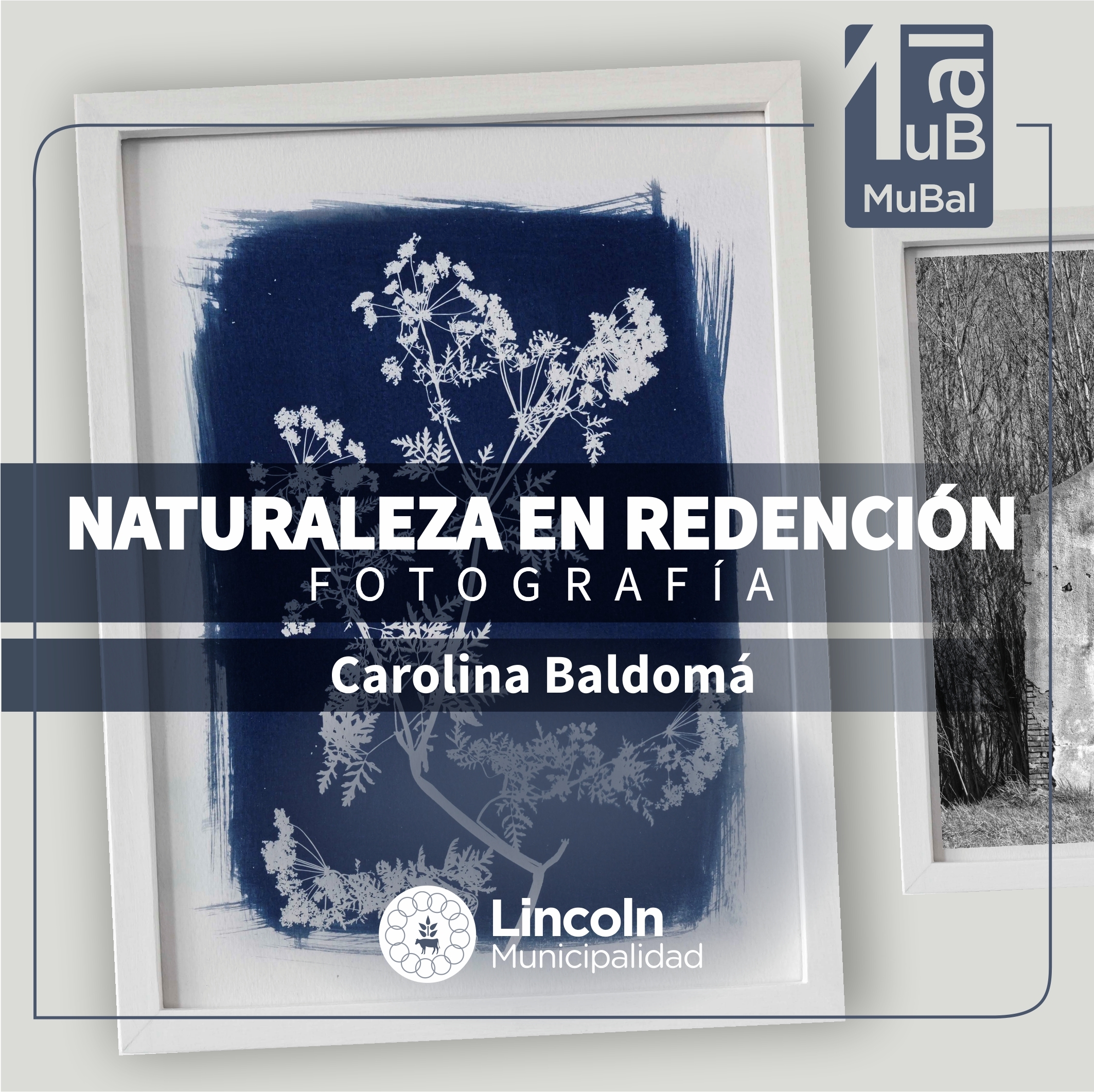 Carolina Baldomá presenta “Naturaleza en redención”