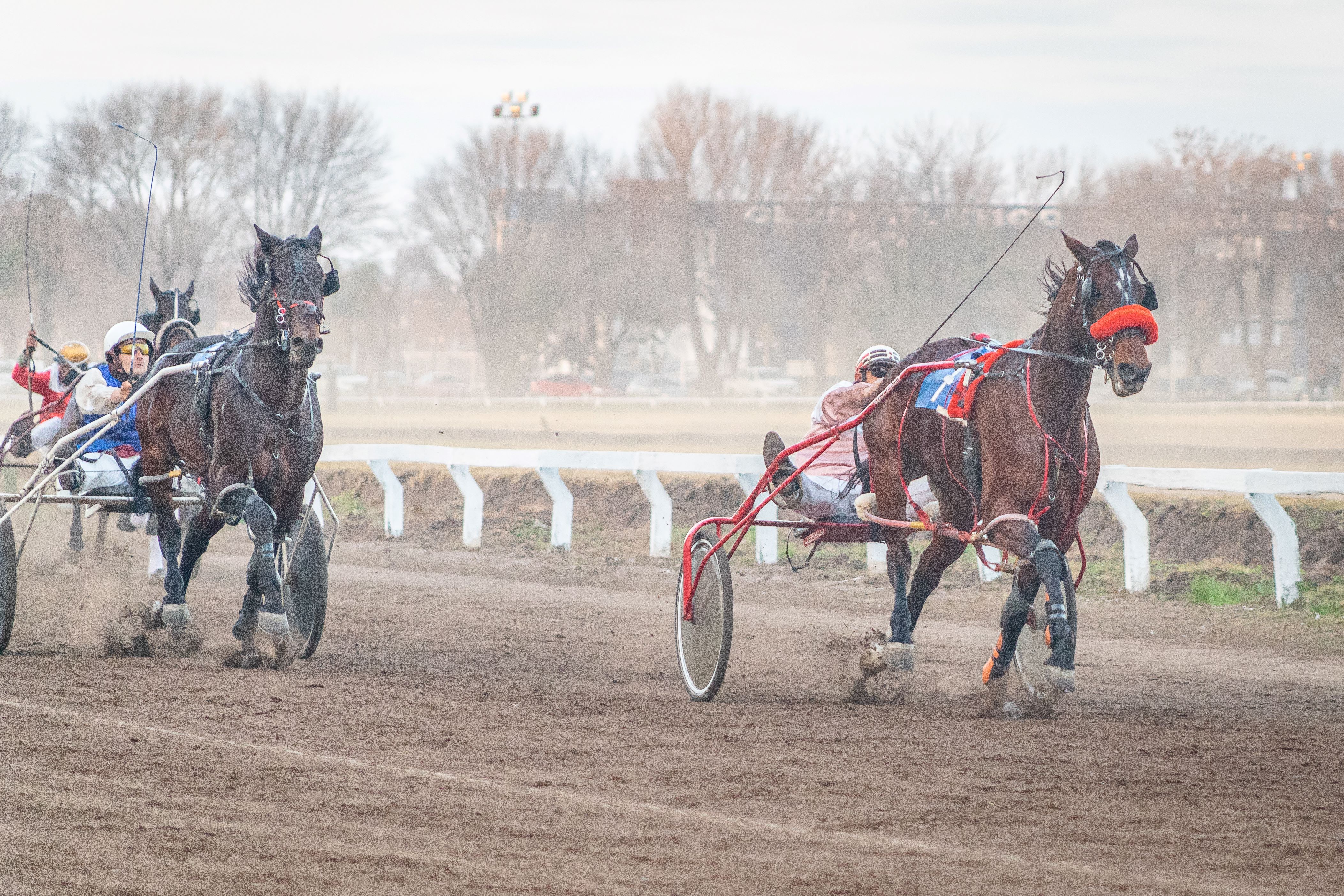 En el hipódromo del Parque, se corre el Gran Premio Nacional de Yeguas