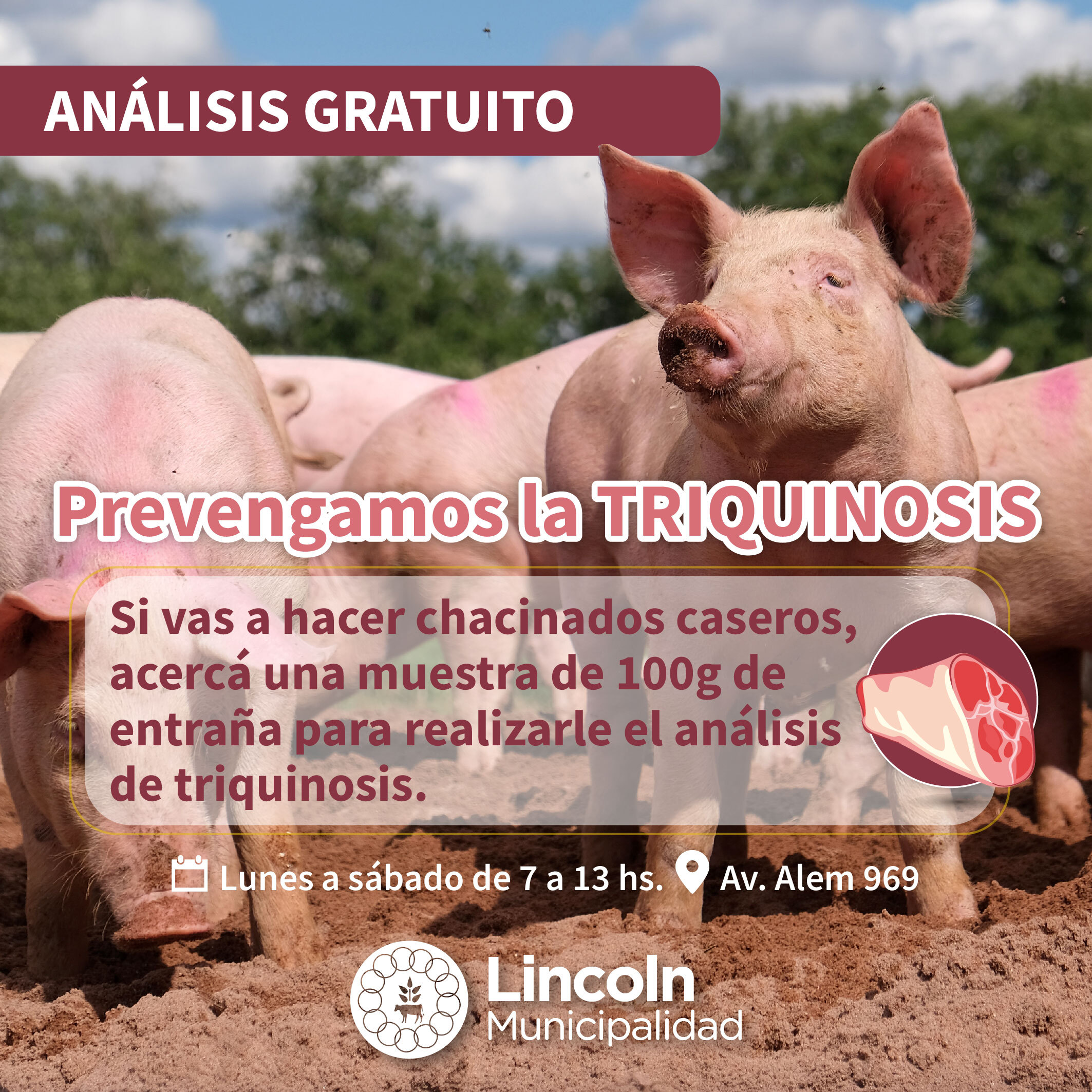 Análisis gratuitos para detectar triquinosis