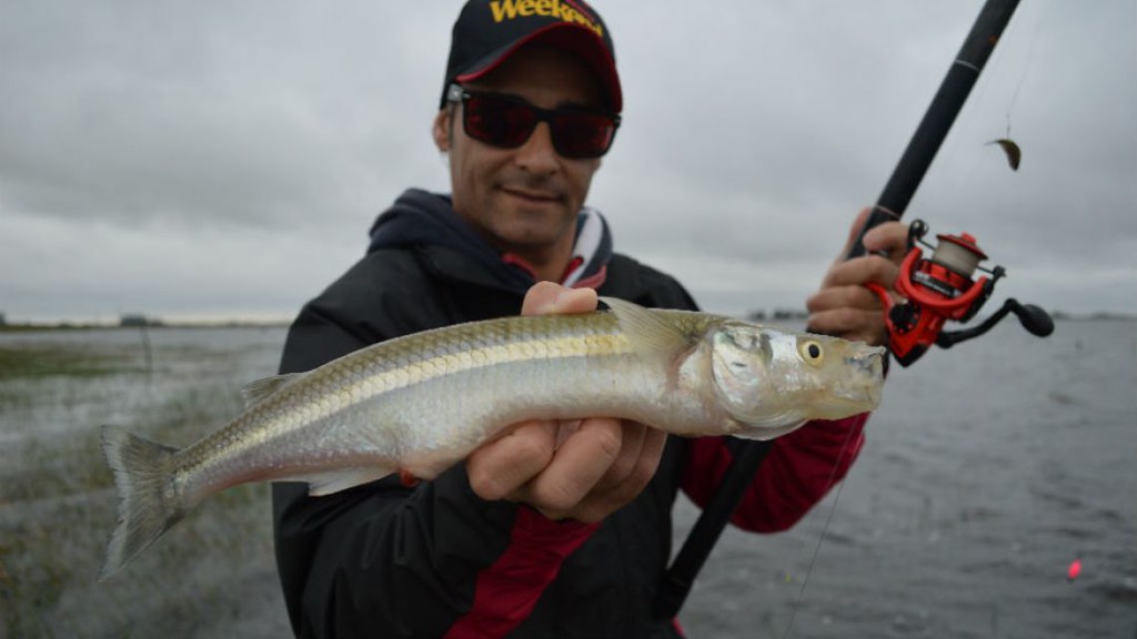 Este sábado se realizará un importante torneo de pesca en Martínez de Hoz