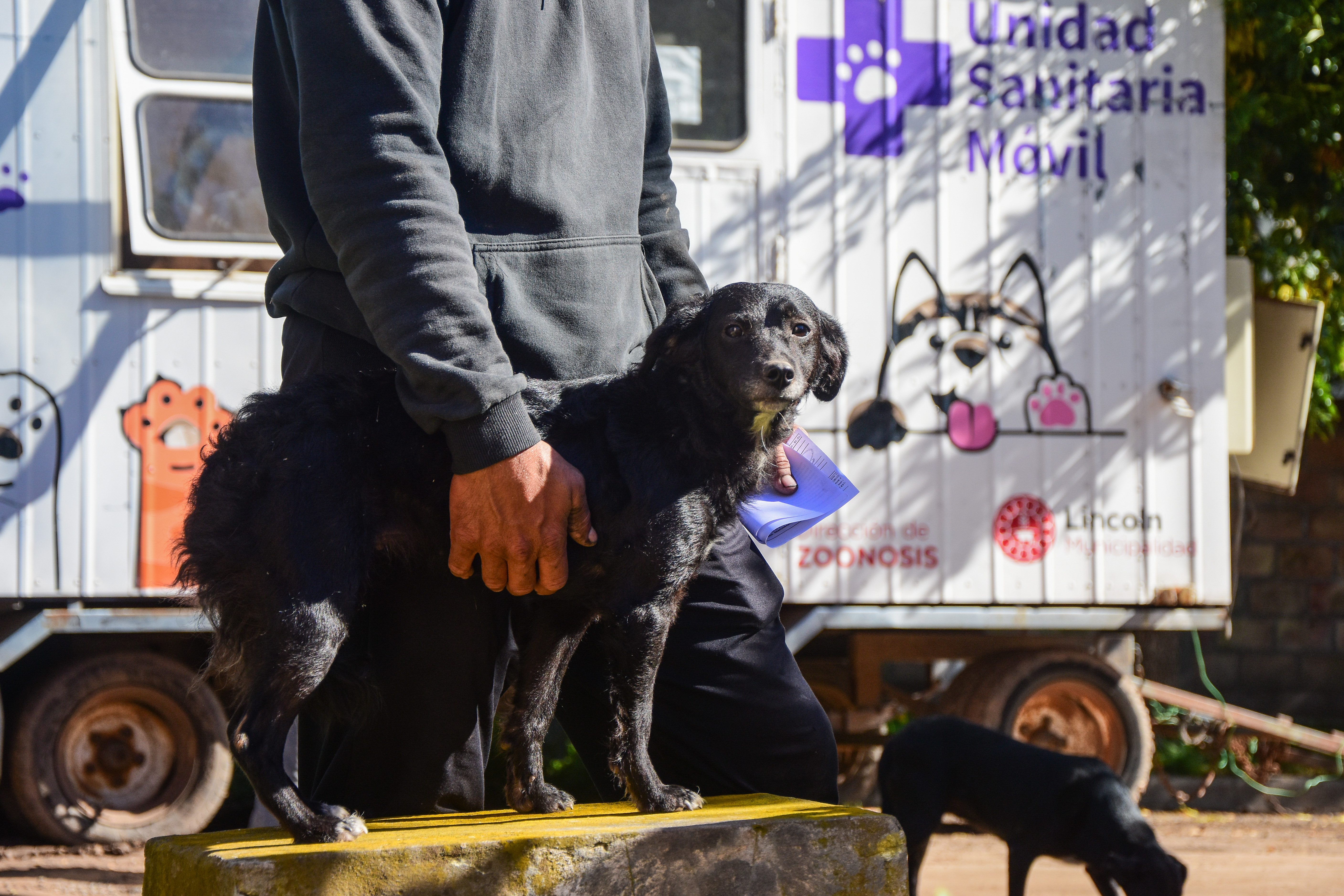El programa de castraciones para mascotas se extiende en los barrios y las localidades